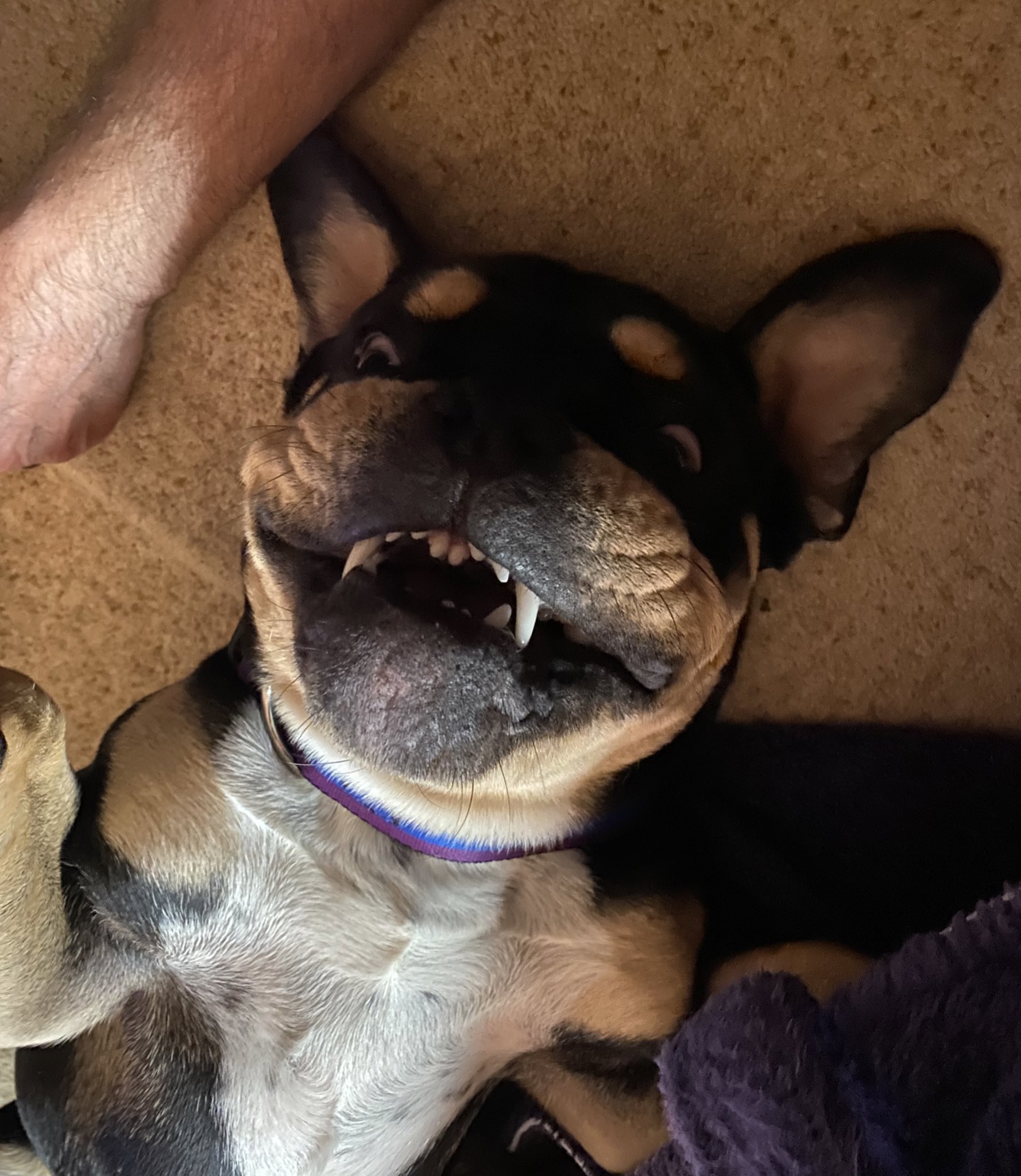 Vinnie Bones (@VinnieBonesDOT) / Twitter