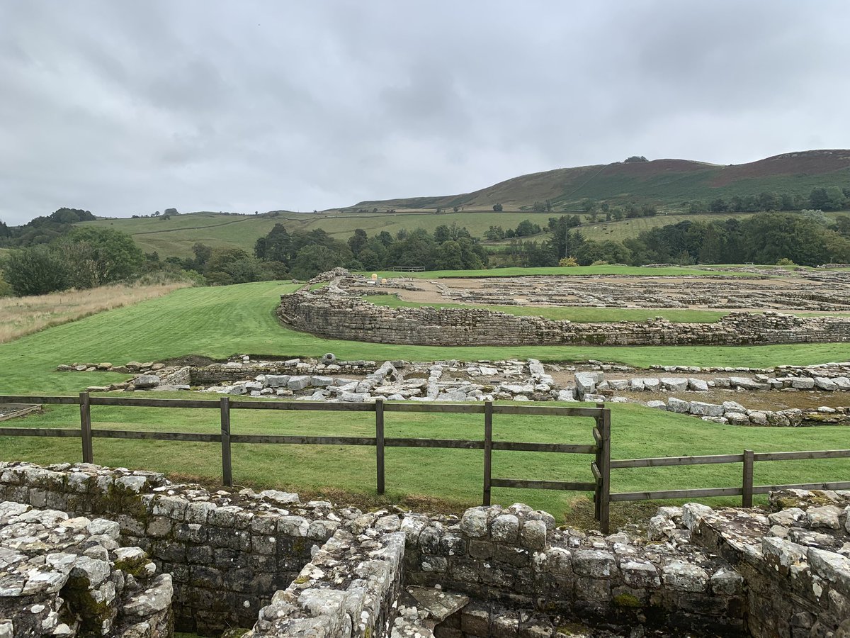 Anna Cohen-Rosenblum tweet media