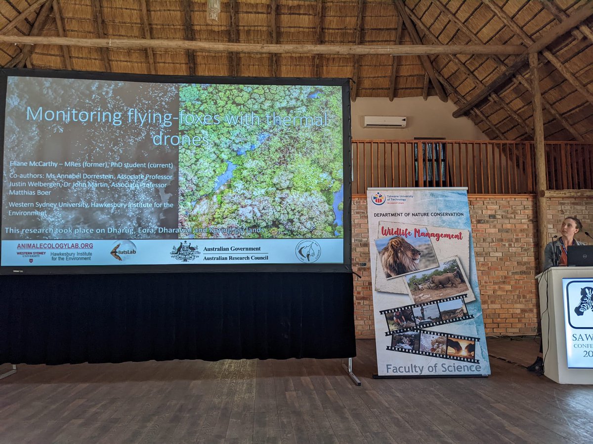 Eliane McCarthy tweet media