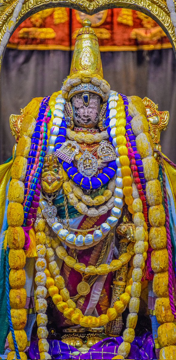 athigirii's tweet photo. Sree Devaadhiraajan Sannidhi - Thiruppavithrothsavam Day 1 - Ekaantham ❤️

#pavithrothsavam 
#kanchi 
#aththivaradhar
#templesofsouthindia https://t.co/aG5BFyXWj3