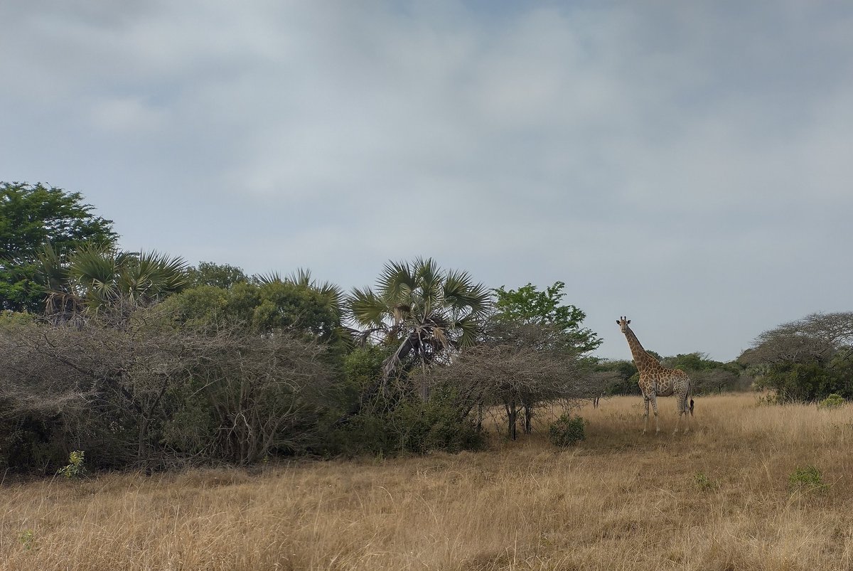 Eliane McCarthy tweet media