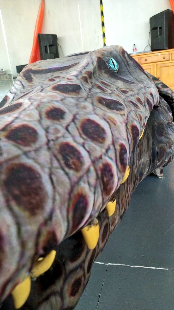 Los 🐊🐊 necesitan un descanso...😴
¿Cuándo será la próxima actuación? 
Pronto pronto...⏰
<a href="/rafafelipeporr1/">rafa felipe porras</a>