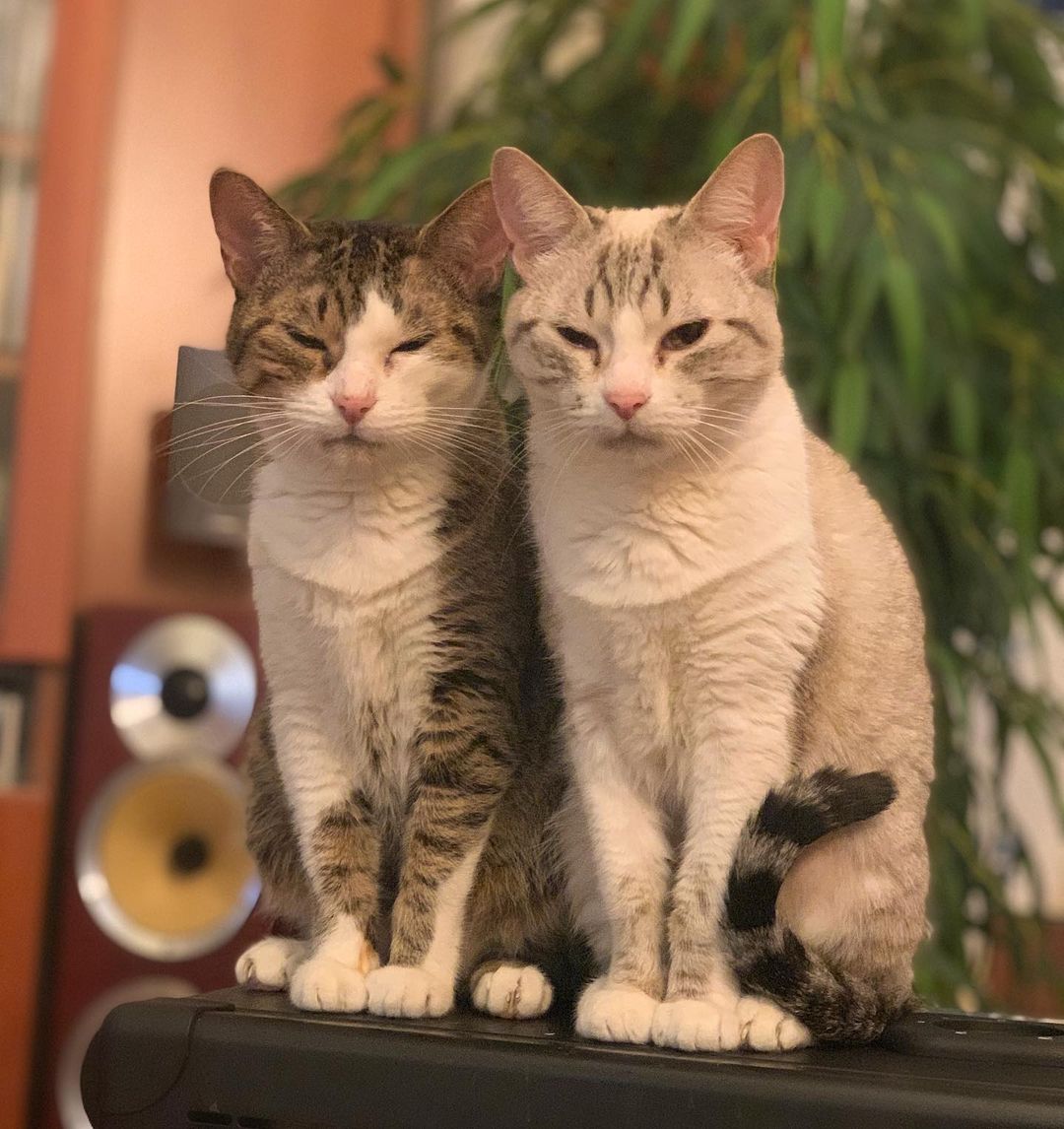 very beautiful and calm🥰🥰🥰