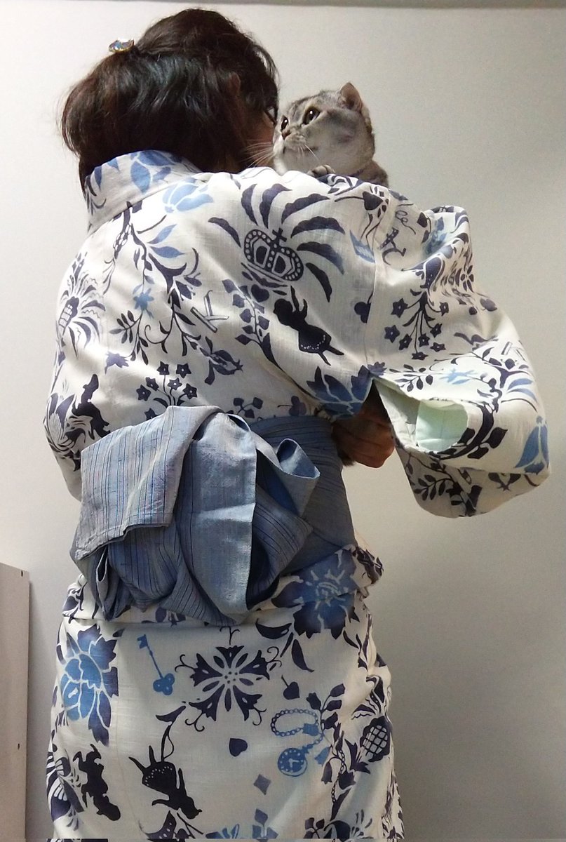 猫と着物