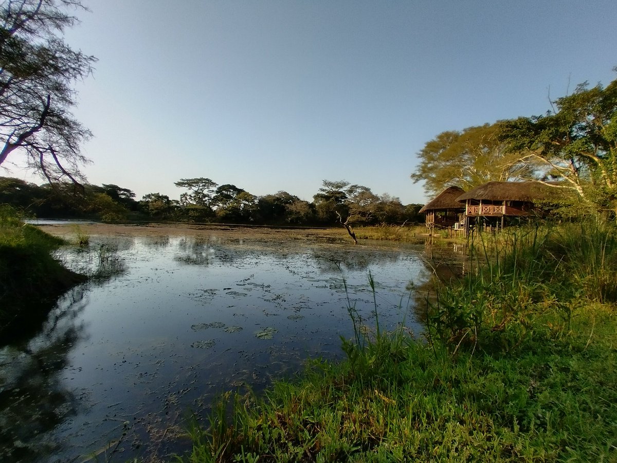 Eliane McCarthy tweet media