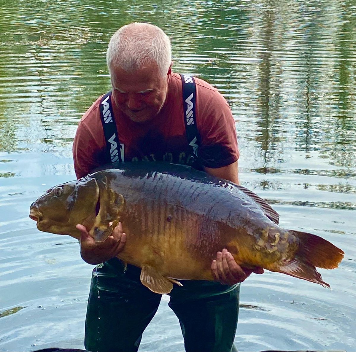PittCharles's tweet photo. Just some of the cracking ten #carp I managed to land on my week at Abby Lakes. Topped by a cracking 45lb #mirrorcarp and 41lb #commoncarp a new PB. @dnabaits @monsterparticles #carpfhising #carpyshots #carpyphotography #carpfishing https://t.co/QOAHbhTA6Q