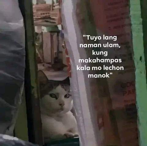 JLEdralin's tweet photo. Sorry na https://t.co/8CEBHCVgLb