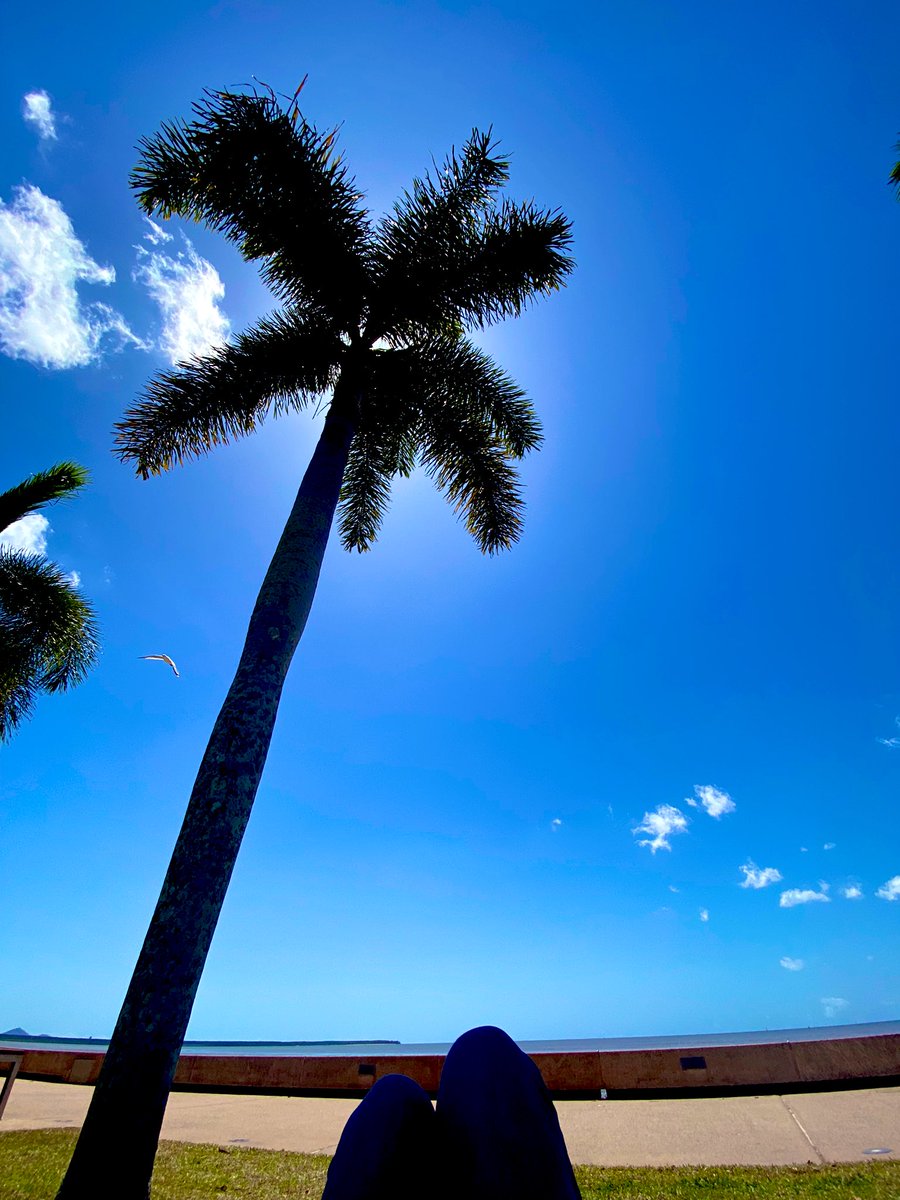 めっちゃいい天気やから昼寝してたら知らんおじさんに話しかけられてちょっと久々に怖かった🤣🤣
睡眠妨害されるし体ベトベト触ってくるしほんまにないわー😊笑