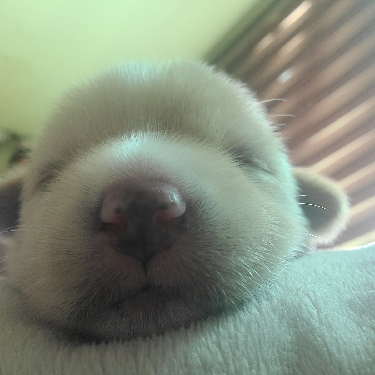 052497_'s tweet photo. 네 https://t.co/1EF6x3NUc9