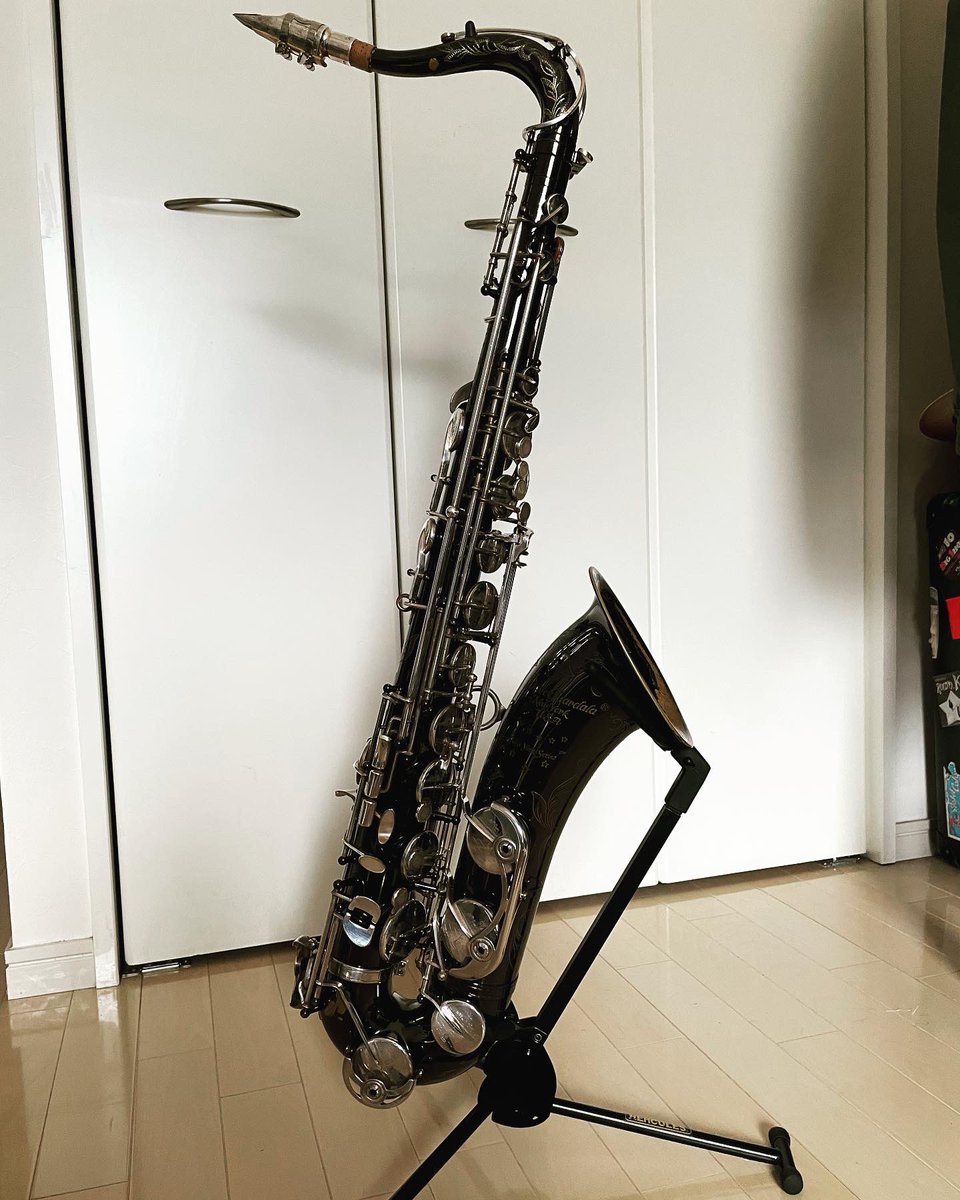 hata_vyond's tweet photo. 夜中にテンション上がって楽器ポチりました🎷✨
憧れの黒いサックス〜⤴️
ちなみにブラックニッケルといいます←
なんか最近音楽アカウントみたいになってきてるな〜🤣
ちゃんとお仕事もやっております(笑)

#デイブガーデラ
#ニューヨークシリーズ
#テナーサックス https://t.co/TpWW0ini4Q