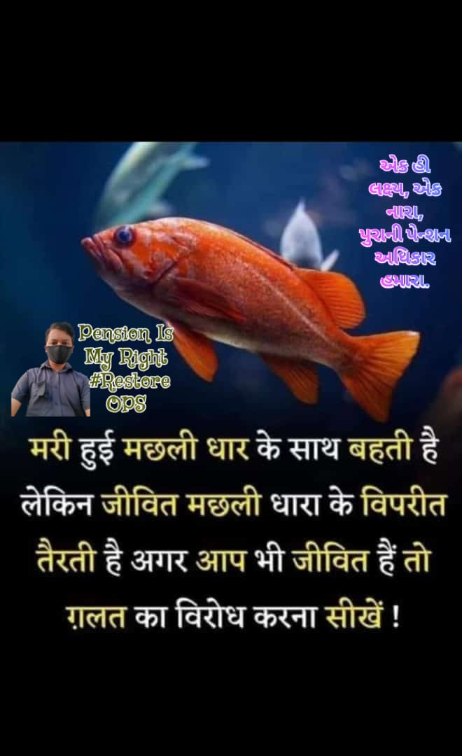 j_bhogayata's tweet photo. #onlyops #NPS_QUIT_INDIA #OPS_IN_GUJARAT22 #OPSfirstOPSmust @CMOGuj @PMOIndia @ArvindKejriwal @jitu_vaghani @msisodia
Pention is my right https://t.co/6uQLTwxVMa