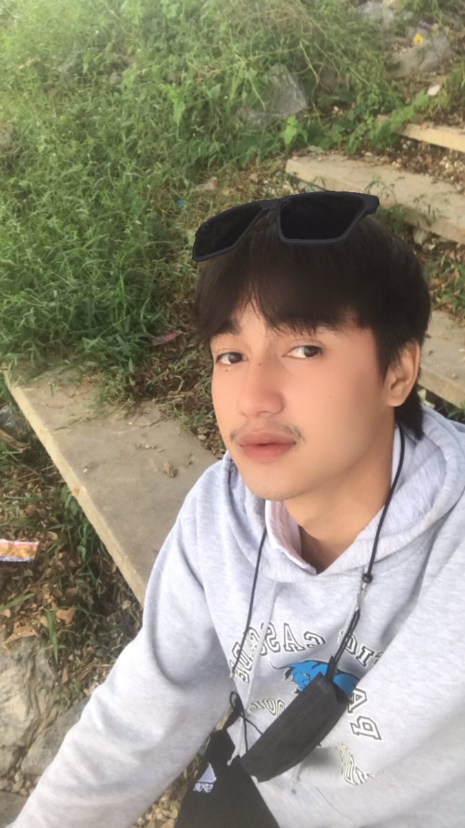 แมวขนสีรุ้ง tweet media