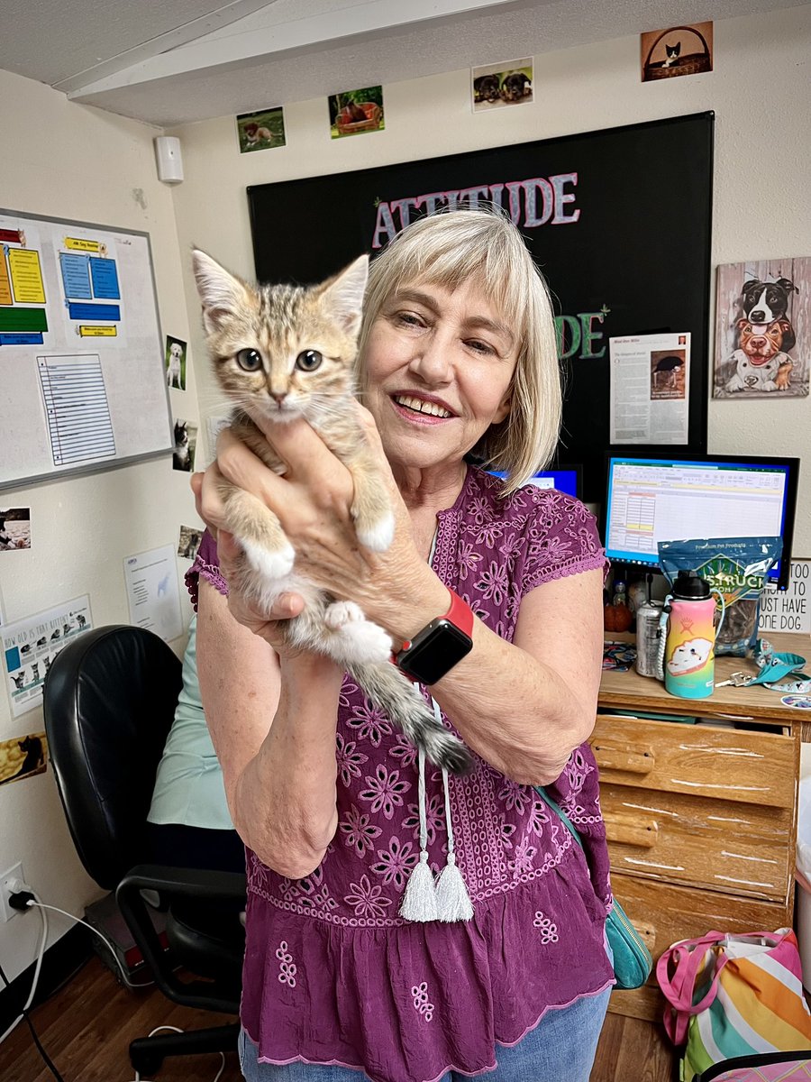 AnimalHumaneNM's tweet photo. Remember the littlest @ABQTopes fan, Orbit?
Now, Orbit is growing and glowing in the loving home of one of our Foster Caregivers.
This week, they stopped by for Orbit to receive a booster shot!
#albuquerqueisotopes #petupdate #kittenseason #AdoptDontShop #perfectpetnm https://t.co/xmJw16pYy2
