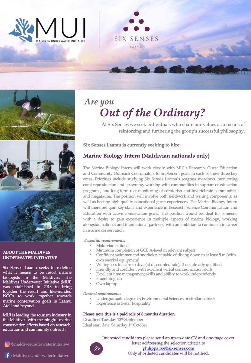 Maldives Underwater Initiative tweet media