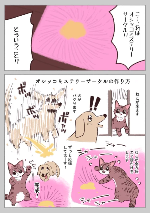 ねこちゃんの親切心が刻まれたカーペット