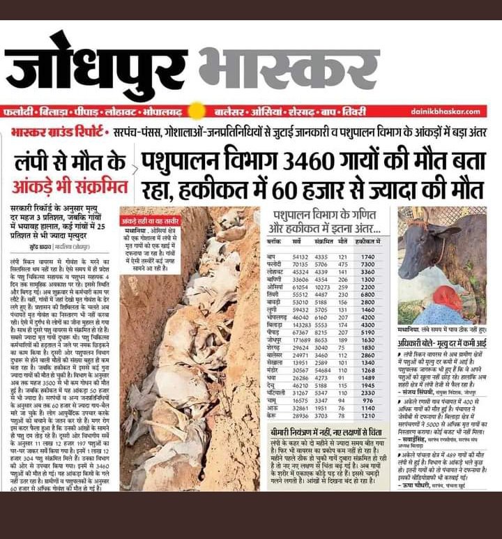 soniyo__'s tweet photo. शब्द भी साथ नही दे रहे 😭#declarelumpyepidemic
#SaveCowSaveRajasthan https://t.co/yjR7ANSk5E