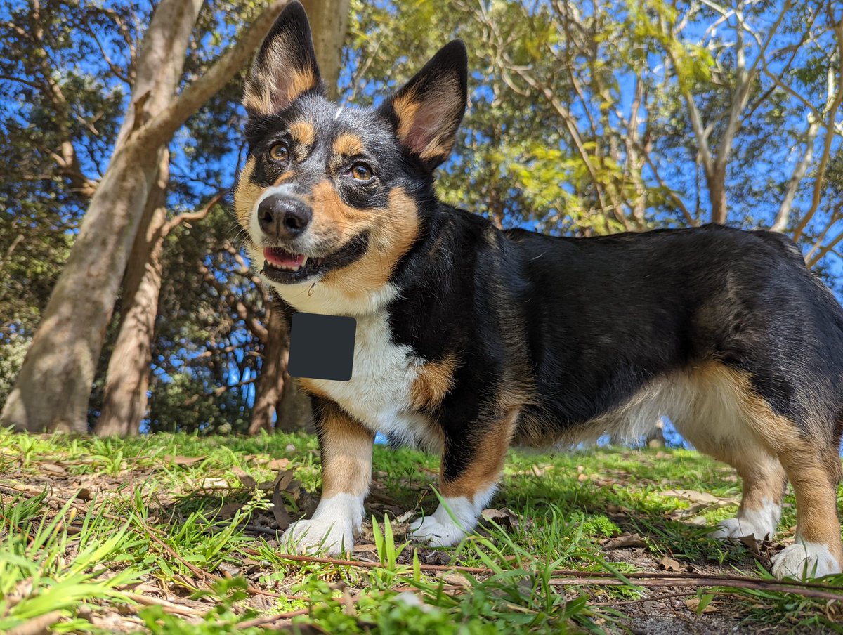 MIJCooper's tweet photo. Beautiful day at the park with the wife and dog.<3 https://t.co/C80bjgCyxg