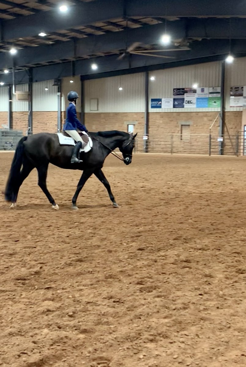caj_writes's tweet photo. It was a long day, but we survived and had some good ride moments and lots of laughs!🥇 #horseshowlife #writersdayout https://t.co/EWBJktlY6T