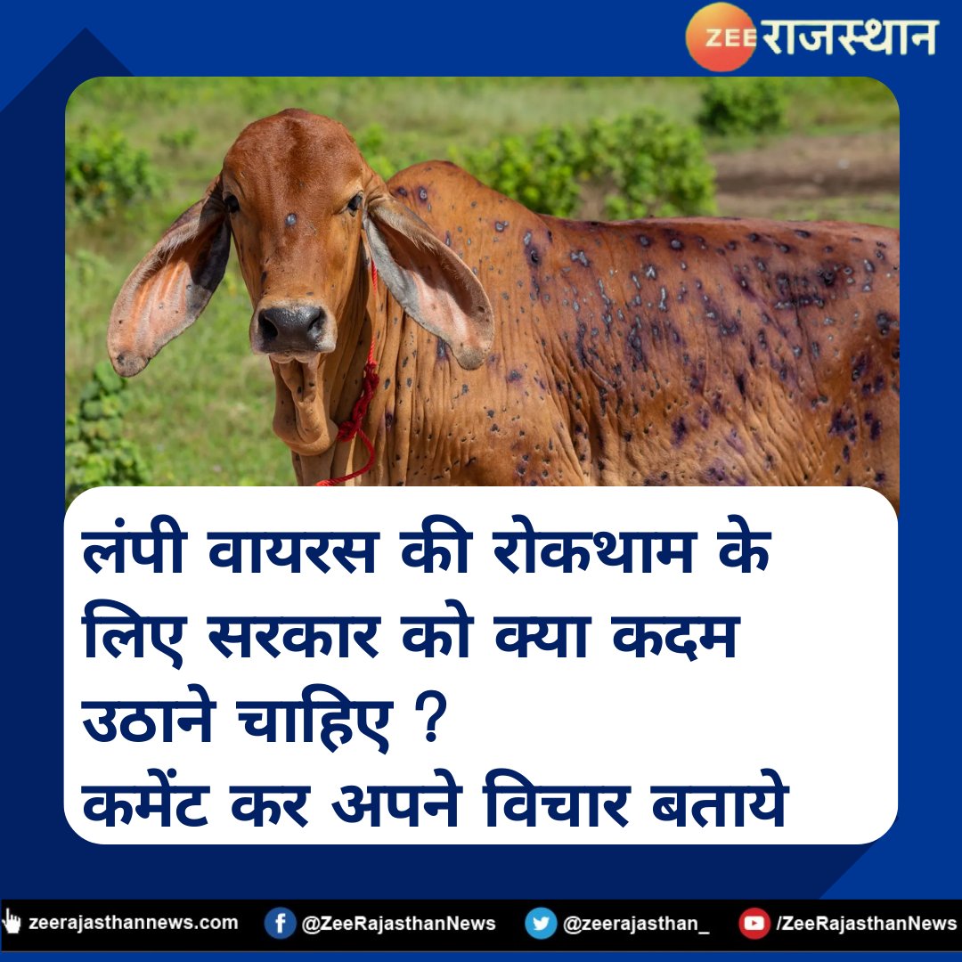 #YourOpinion : राजस्थान में लंपी वायरस के बढ़ता कहर को सरकार को किस तरह से काबू में लाने की कोशिश करनी चाहिए ?

दीजिये अपने सुझाव ! 

#lumpyskindisease #LumpyVirus #ZeeRajasthan