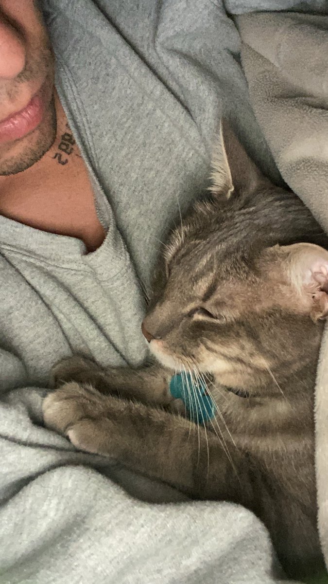 TiagoSarmientoo's tweet image. Les presento a Samuelito.

✨Samuelito es un gatito que necesita que lo arrunchen y arropen todas las nochecitas✨