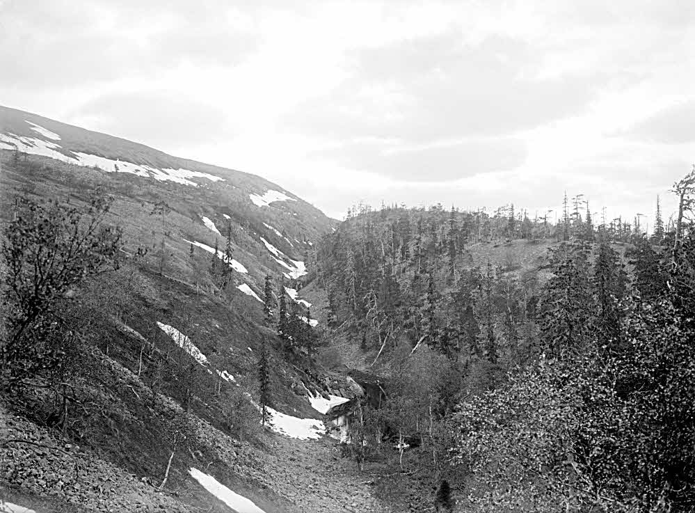 GeoPhotoBot tweet media