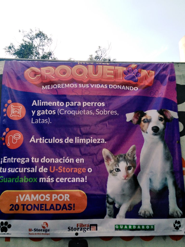 donnavedder's tweet photo. Reciben croquetas en los #UStorage @ustoragemx @PopotlaColonia @cpopotla @EnlacePopotla @claveria_CDMX @PorSanAlvaro https://t.co/Qvh2S2aA7f