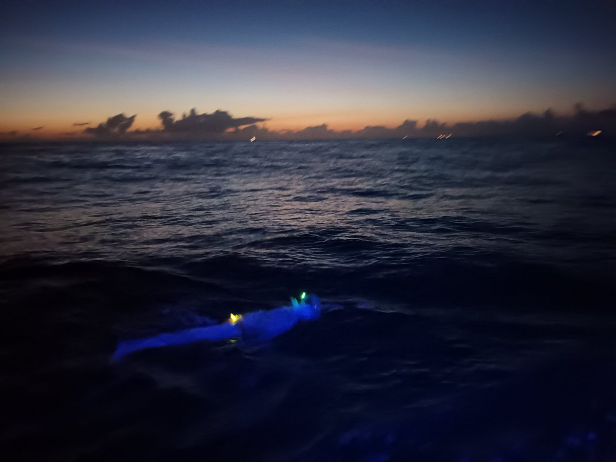 5 hours 30 minutes into the Separation Zone. Dawn is not too far away now <a href="/CSAswimmers/">Channel Swimming Association</a> <a href="/multisportnut/">Multisport Nutrition</a> <a href="/RedTopSwim/">RedTopSwim</a>