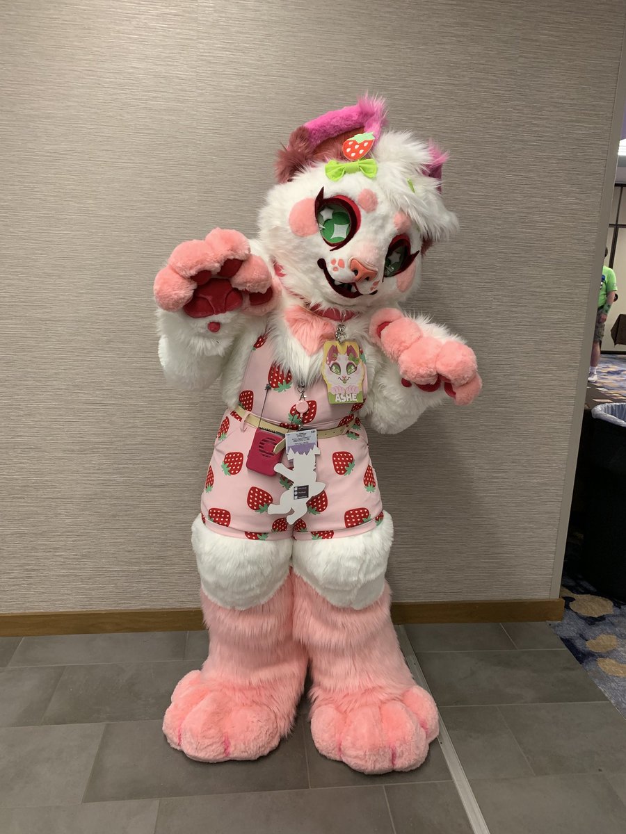KattWhiskerz's tweet photo. I'm having a great time at #FurryMigration2022 
If u see me say hi :3c

📸 @BlueFlameJack 
🪡 @alecrimcarmim (bodysuit by me!) https://t.co/8ay8hJCCHi