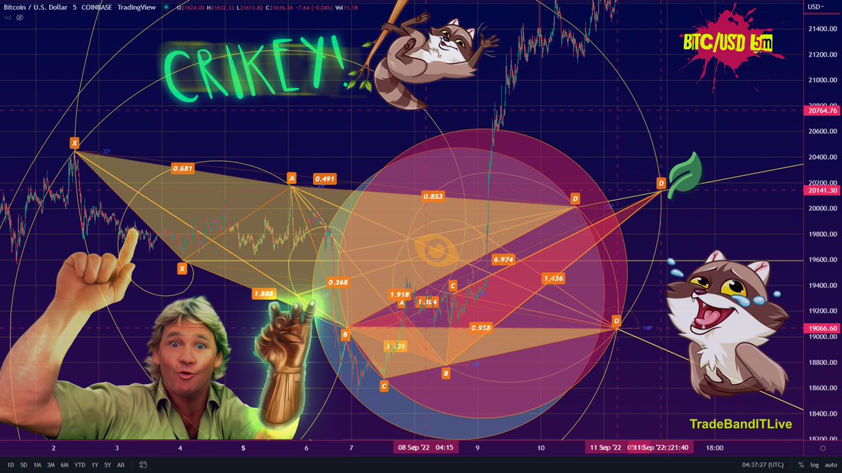 TradeBanditLive's tweet photo. #Bitcoin #BTC #Mathemagician #ArchAngles #CrocodileHunta #ShesABeaut #Inevitible Blimey mate, appears ya shorts been wrecked somethin fancy by snap of Stevo's fingas. https://t.co/WeJCbFFKOd