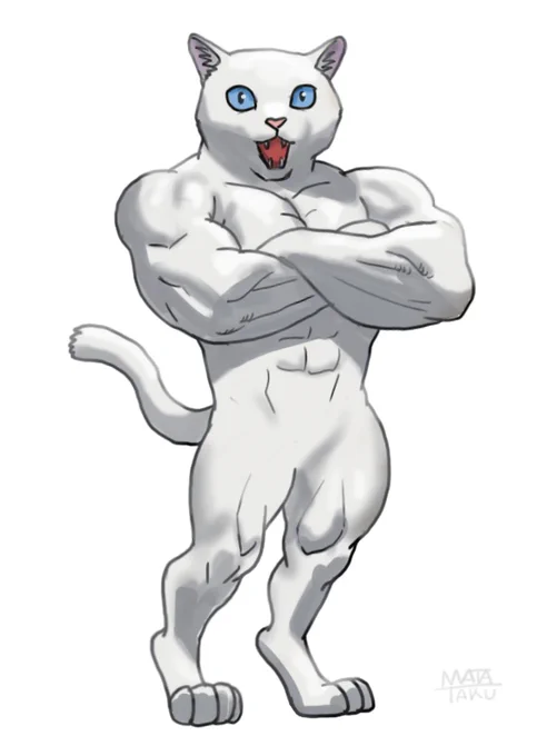 猫。白猫。#動物レスラー 