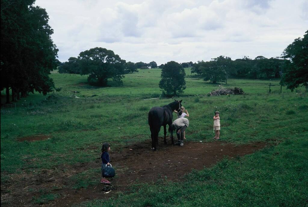 #thefarmbyronbay #minoltacle instagr.am/p/CiWj0KTPsPj/