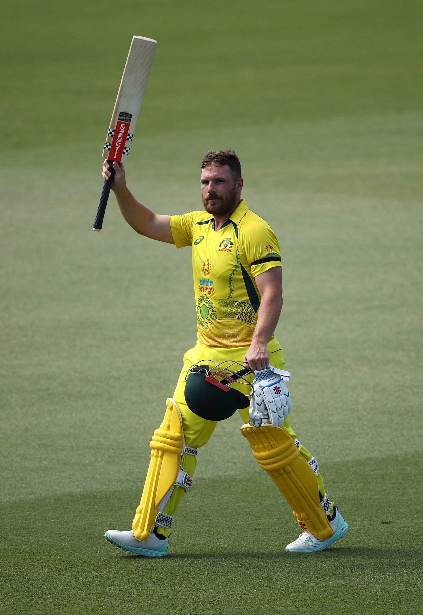 Cricket Australia on Twitter "Thanks Finchy! AUSvNZ https//t.co