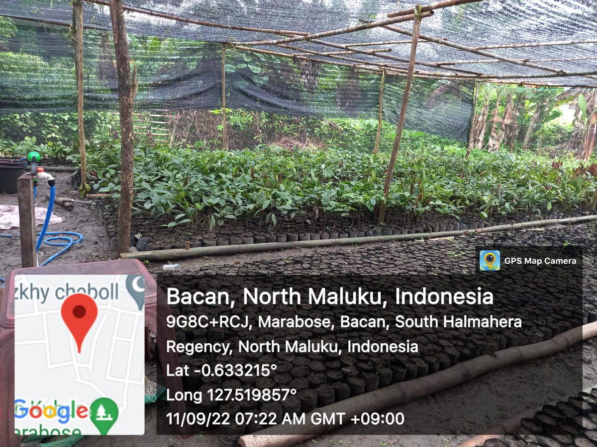 AkeMalamo's tweet photo. Hallo Sobat Hijau.
Berikut ini merupakan Perkembangan kegiatan Kebut Bibit Rakyat (KBR) pada Kelompok Tani Ahakolano Desa Marabose Kec.Bacan Kab.Halmahera Selatan. kegiatan yang dilakukan kelompok yakni Pengisian Polybag dan tanaman.
Salam Rimba !!!
#kbr
#ditjenpdasrh
#klhk https://t.co/TYjeErPa04