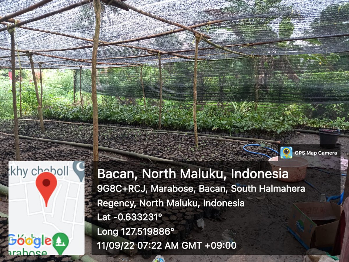 AkeMalamo's tweet photo. Hallo Sobat Hijau.
Berikut ini merupakan Perkembangan kegiatan Kebut Bibit Rakyat (KBR) pada Kelompok Tani Ahakolano Desa Marabose Kec.Bacan Kab.Halmahera Selatan. kegiatan yang dilakukan kelompok yakni Pengisian Polybag dan tanaman.
Salam Rimba !!!
#kbr
#ditjenpdasrh
#klhk https://t.co/TYjeErPa04