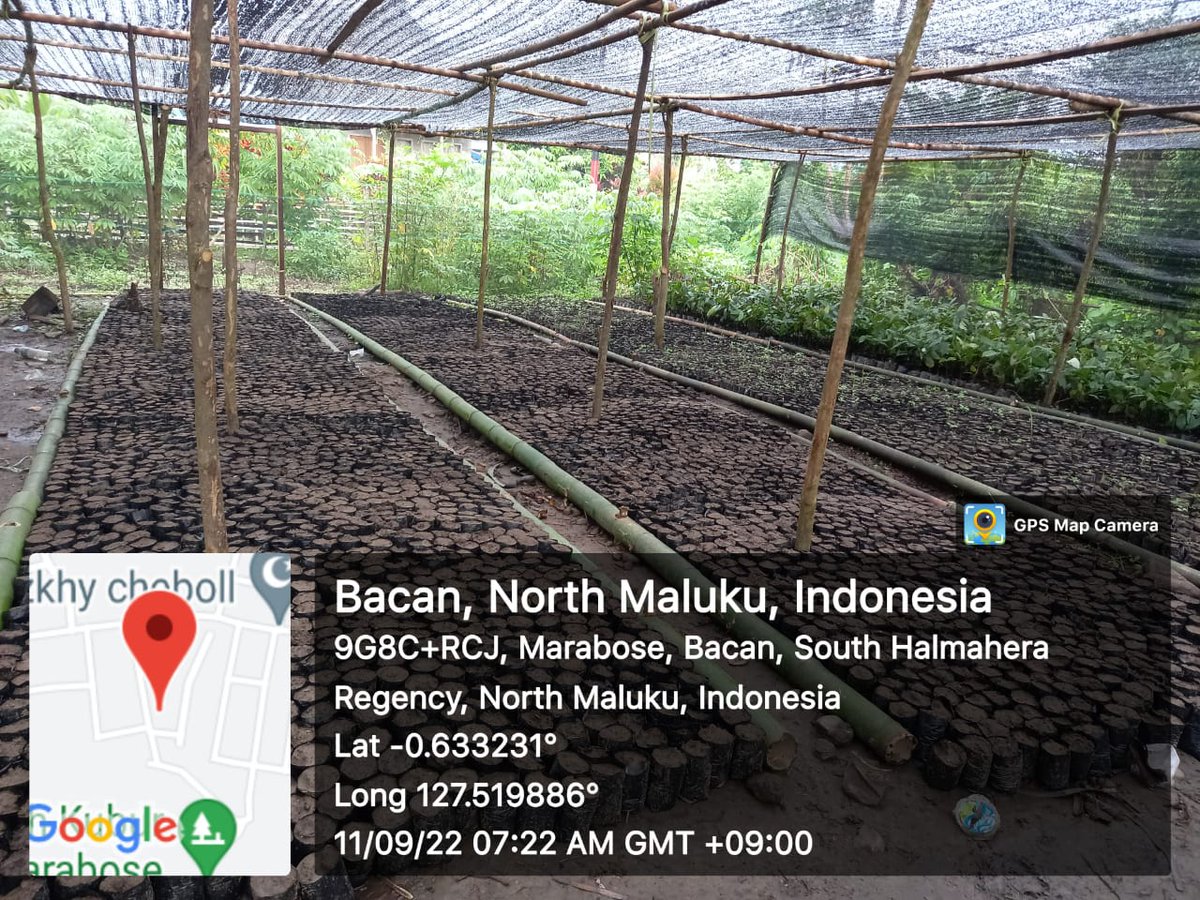 AkeMalamo's tweet photo. Hallo Sobat Hijau.
Berikut ini merupakan Perkembangan kegiatan Kebut Bibit Rakyat (KBR) pada Kelompok Tani Ahakolano Desa Marabose Kec.Bacan Kab.Halmahera Selatan. kegiatan yang dilakukan kelompok yakni Pengisian Polybag dan tanaman.
Salam Rimba !!!
#kbr
#ditjenpdasrh
#klhk https://t.co/TYjeErPa04