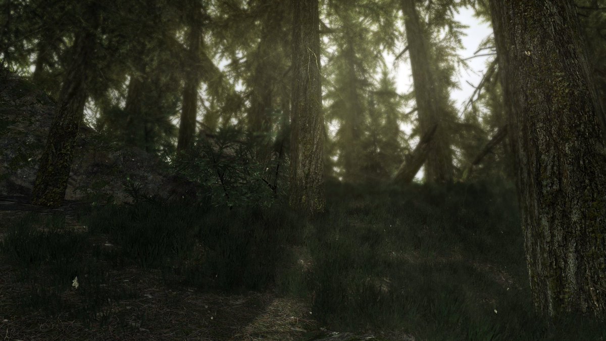 cishet-male-lesbian-on-twitter-editing-skyrim-photos-to-be-prettier