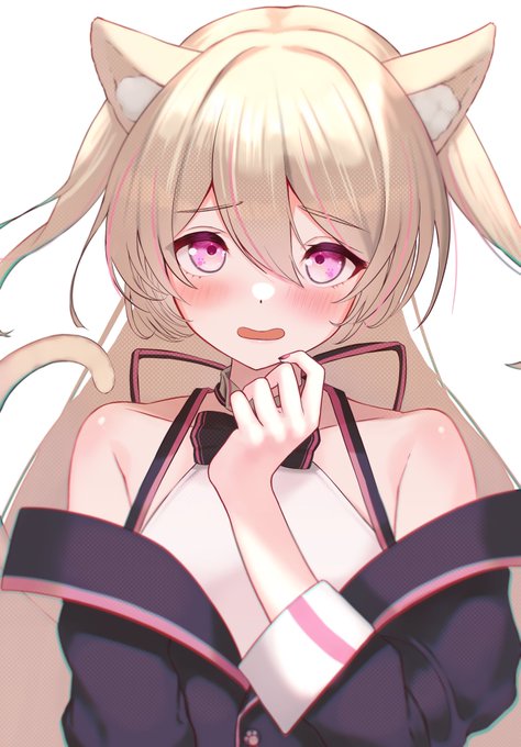 #ぺぱの郵便屋さん
ฅ•ω•ฅニャーン 