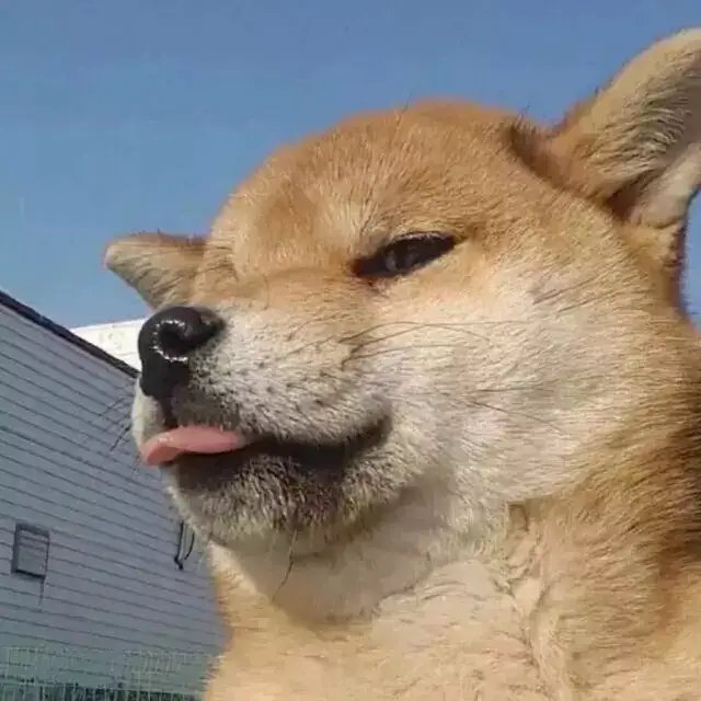 omnom too the moon，in dogecion