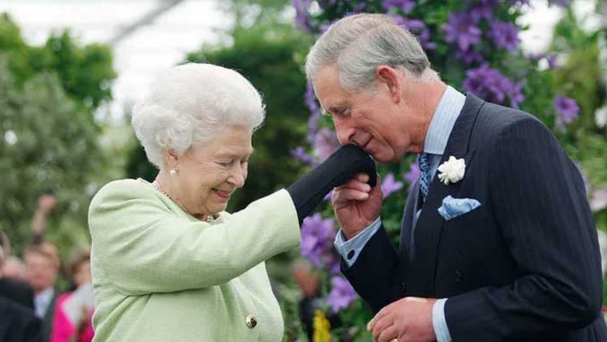 Michel M🖤🇬🇧🇪🇸🇲🇽🇫🇷 tweet media