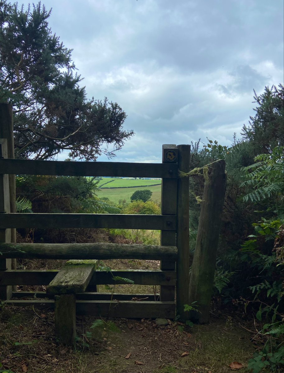 1000Rach's tweet photo. Four signs and a stile #Montgomery #Trefaldwyn #SundaySigns #SundayStiles
@LakesStiles https://t.co/J2S4rPrQwp