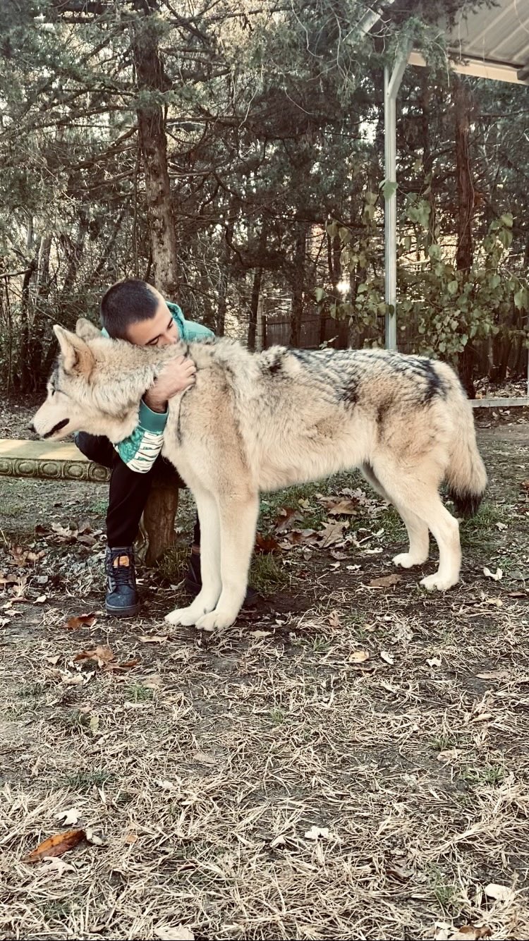 Nike Leader on Twitter: "@todayyearsoldig These are from a wolf farm