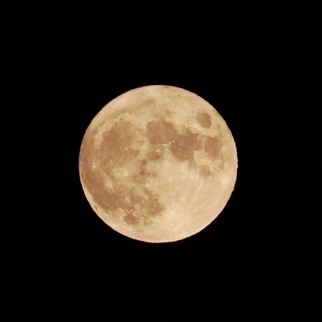 ultimate_kaiser's tweet photo. Happy Mid-Autumn Festival.

#midautumn2022 #familytime #buildingmemories

#theultimatekaiser #superyummylicious #thoseintheknowwillappreciate #onlythebest

#hongkongfoodie #hongkongfood #hkfoodie #taiwanfoodie #taiwanfood #hsinchufood #japanfoodie #mooncake #fullmoon https://t.co/RMNtPgKKal