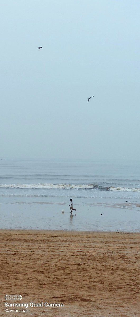 aviarchan's tweet photo. I am the #Ronaldo! I am the #BaichungBhutia!☺️ 

#BornFree #BeachesofIndia #beachvibes #football #birds #PhotoOfTheDay #NaturePhotography #bringbackchildhood #Juhubeach #Mumbai https://t.co/GChL8DwEdV