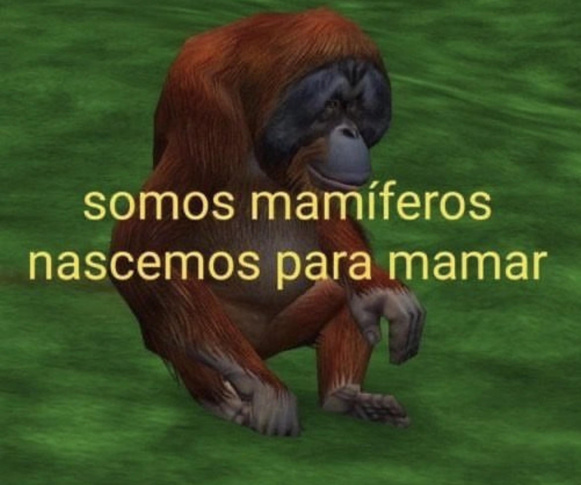 Mengo tweet media