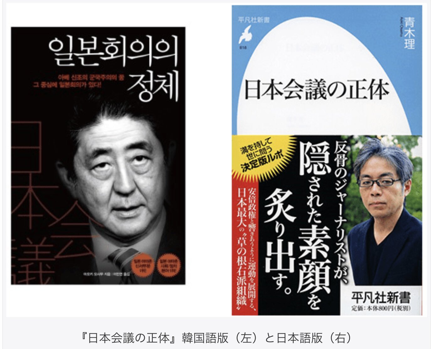 Chieko Nagayama 不気味な写りの写真を使って韓国でベストセラーになった妄想本には安倍政権と自民党を動かしているのは 宗教団体の生長の家を支持母体にし神社本庁と繋がる日本会議だ 日本会議会員は選挙でとてつもなく有利になるとか まるで今の 統一