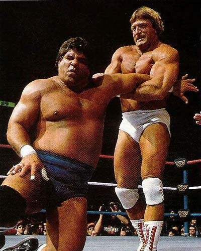 Happy Birthday to Paul Orndorff\s WM2 opponent, Don Muraco! 
