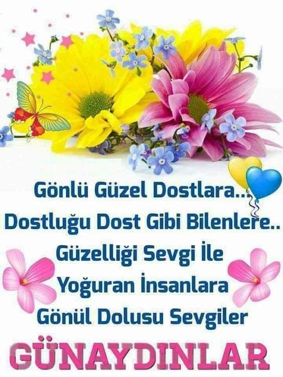 ÖNCE VATAN 🇹🇷🤘 (@kragozlu) on Twitter photo 