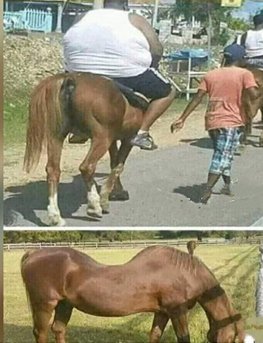 इसे कहते हैं अपनी छाप छोड़ना..🤦😲🤣🤣