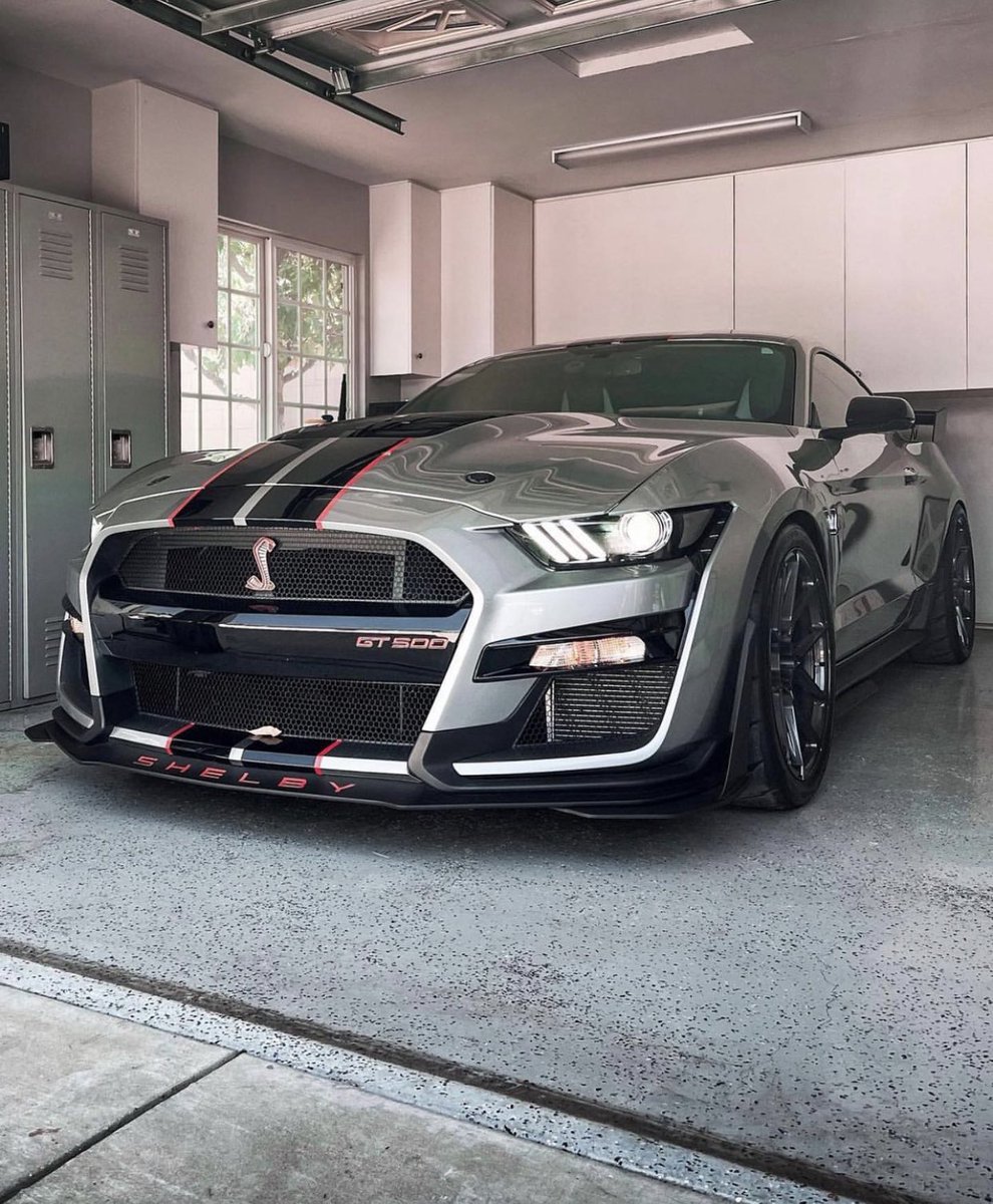 carpxrnpicx's tweet photo. Shelby GT500 https://t.co/5B87wi5v7z