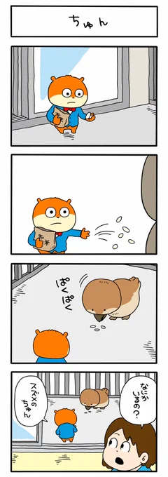 こめ
#紳士なこねずみ
#紳士シリーズ #紳士
#タロちゃん #こねずみ
#すずめ  #ちゅん 